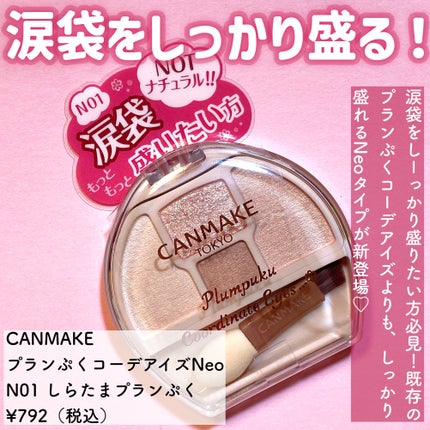プランぷくコーデアイズ/キャンメイク/パウダーアイシャドウを使ったクチコミ(2枚目)