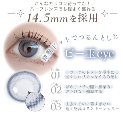 TeAmo 1DAY ダス ブルージュ Dus Bluege/TeAmo/ワンデー(1DAY)カラコンの画像