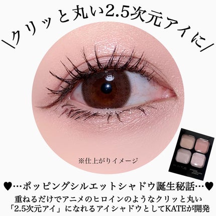 ケイト ポッピングシルエットシャドウ/KATE/アイシャドウパレットを使ったクチコミ(4枚目)