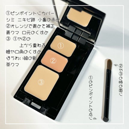 ミネラルコンシーラーパレット/エトヴォス/パレットコンシーラーを使ったクチコミ(3枚目)