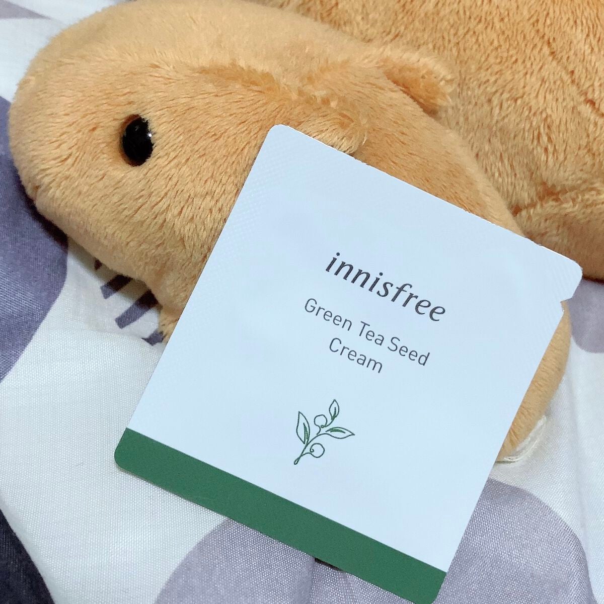 グリーンティーシード クリーム/innisfree/フェイスクリームを使ったクチコミ(1枚目)