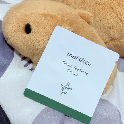 グリーンティーシード クリーム/innisfree/フェイスクリームを使ったクチコミ(1枚目)