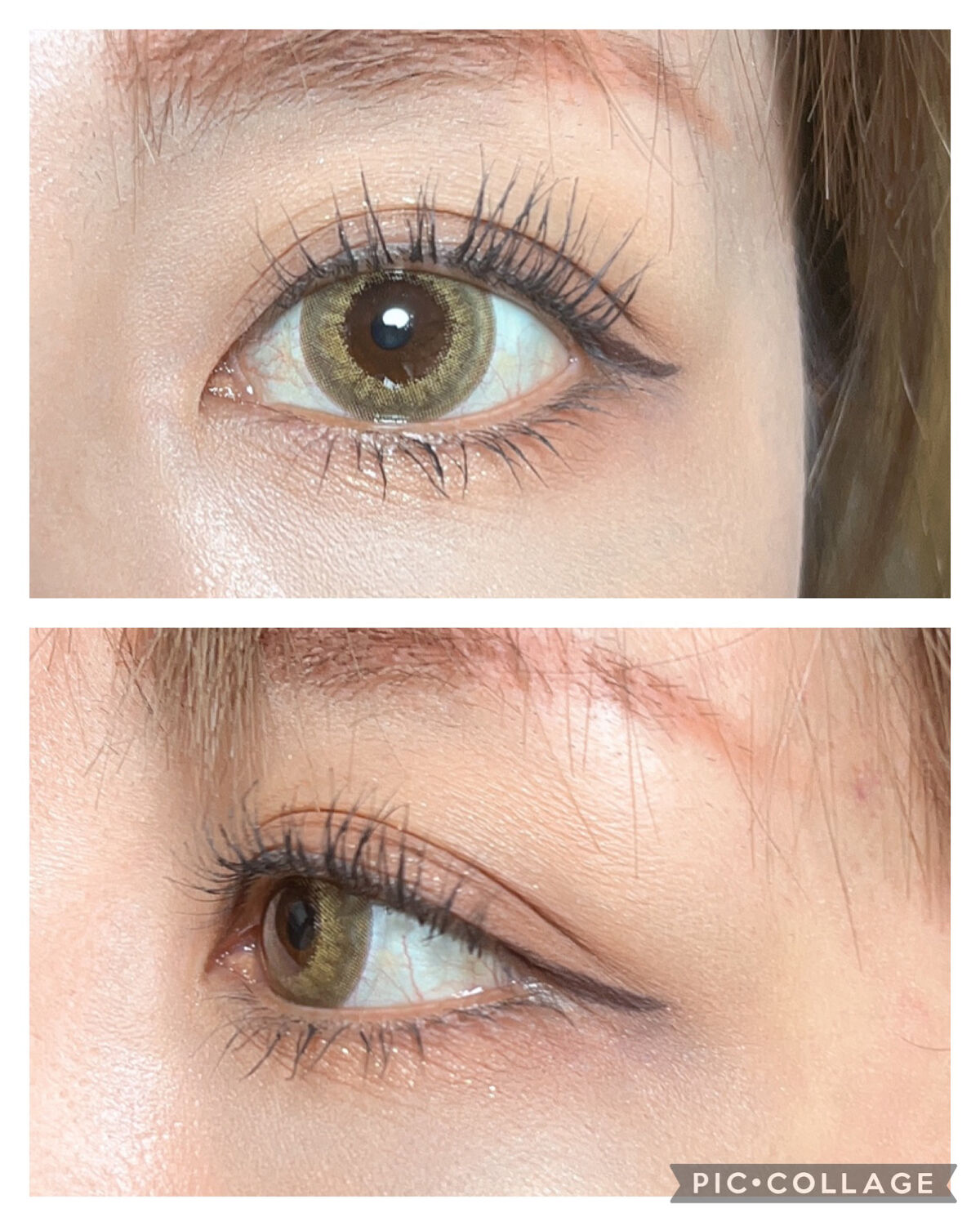 エクスプローラ12色 動物アイシャドウパレット/PERFECT DIARY/アイシャドウパレットを使ったクチコミ（2枚目）