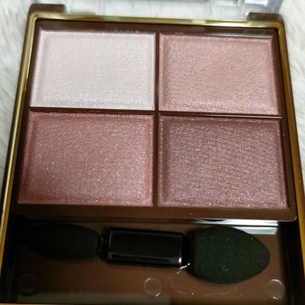 スキニーリッチシャドウ/excel/アイシャドウパレットを使ったクチコミ(2枚目)