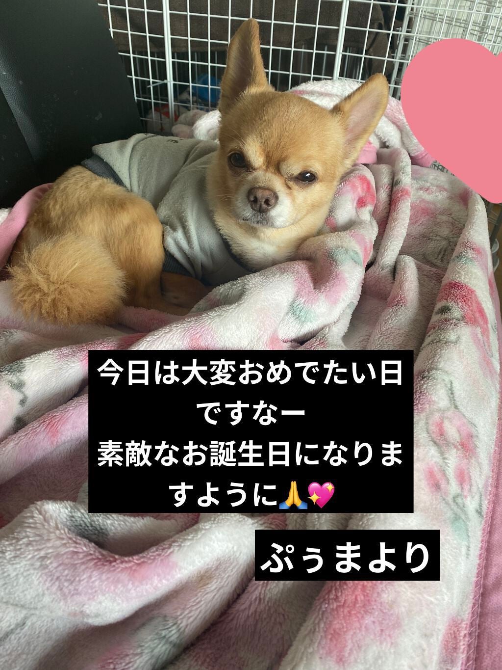 ジェルネイル(ライト対応)/セリア/ジェルネイルを使ったクチコミ(7枚目)