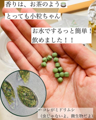 euglena green/epauler/健康サプリメントを使ったクチコミ（3枚目）