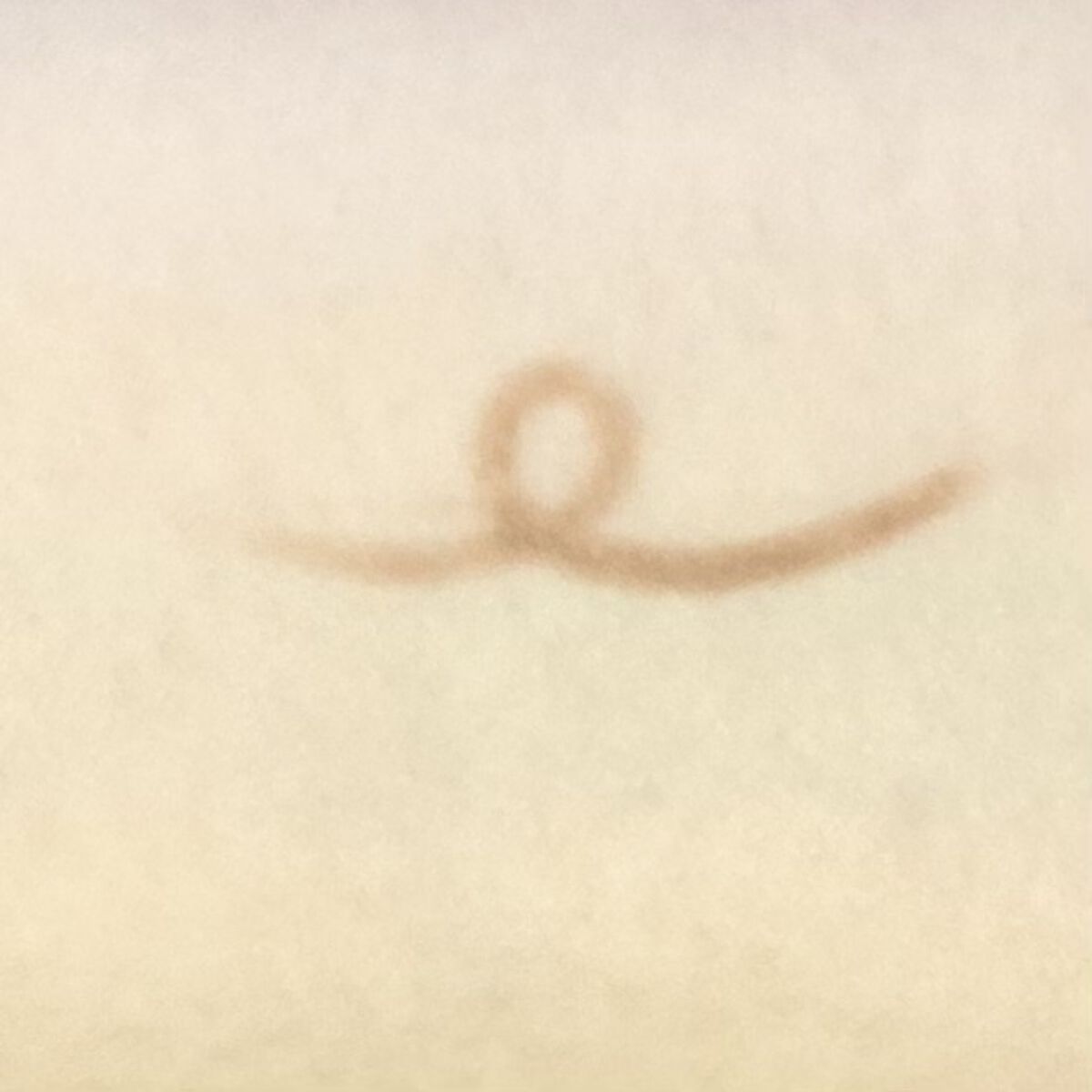 ラストオート ジェルアイライナー/BBIA/ジェルアイライナーを使ったクチコミ（3枚目）