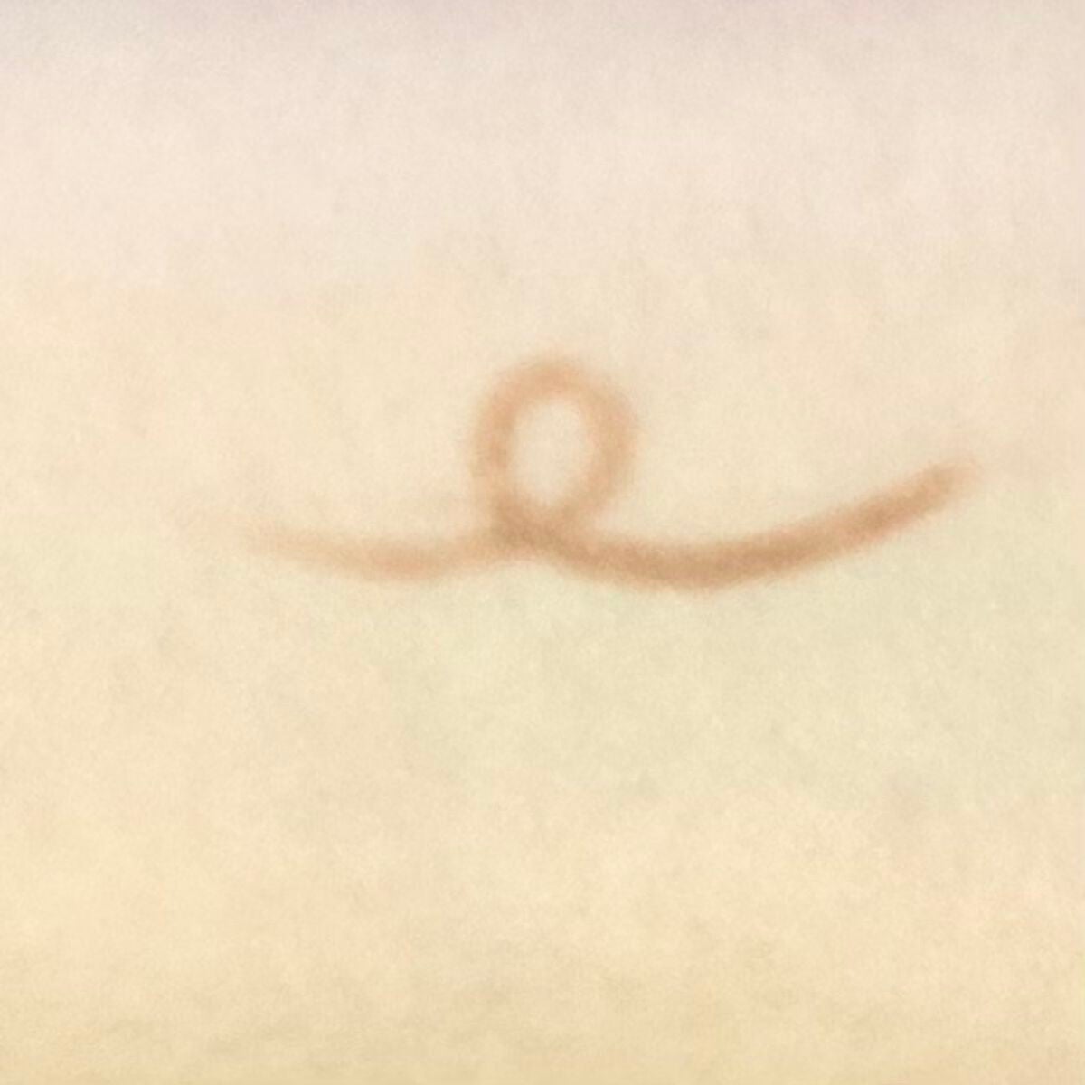 ラストオート ジェルアイライナー/BBIA/ジェルアイライナーを使ったクチコミ(3枚目)