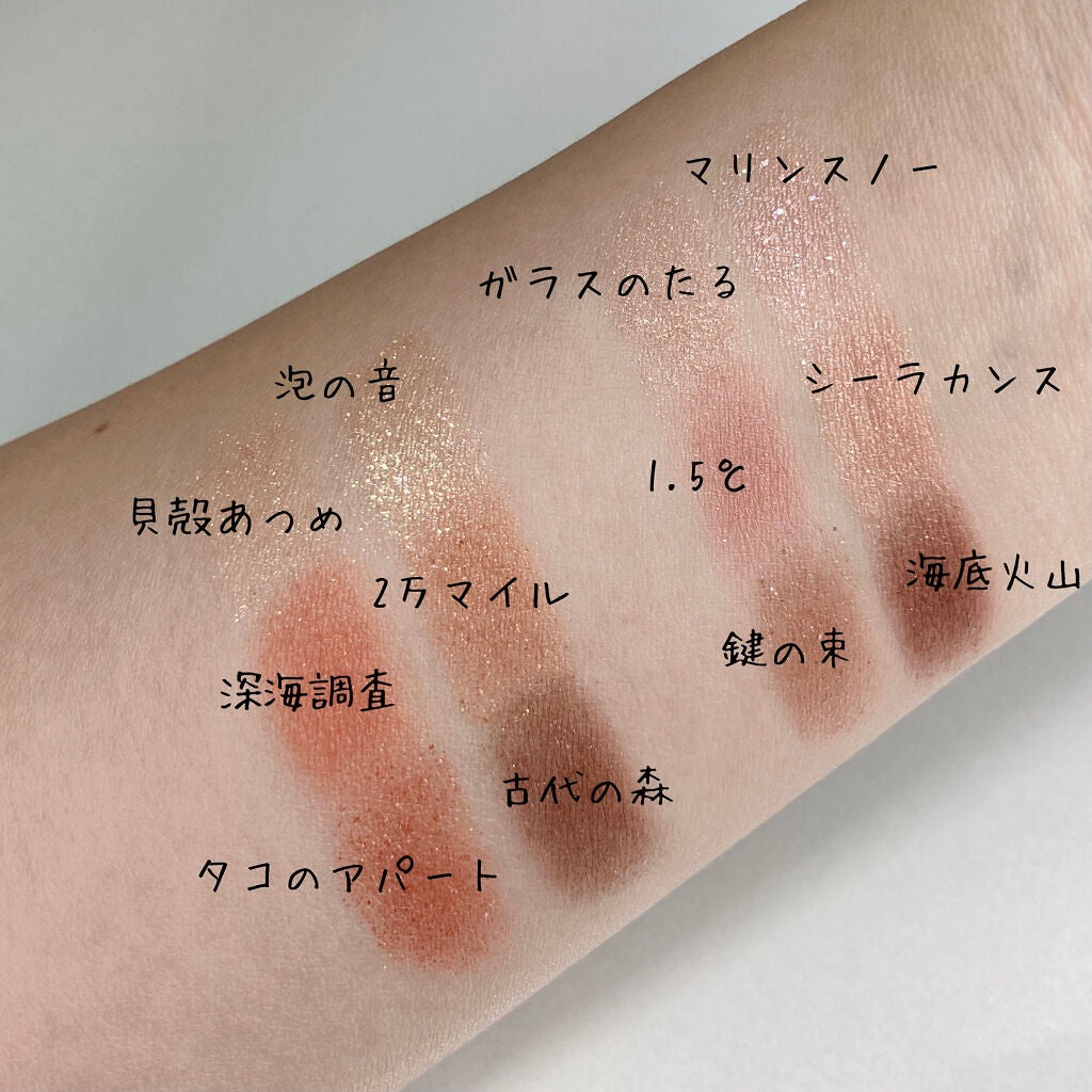 ナイストゥミーチュートランク/MAJOLICA MAJORCA/アイシャドウパレットを使ったクチコミ(4枚目)