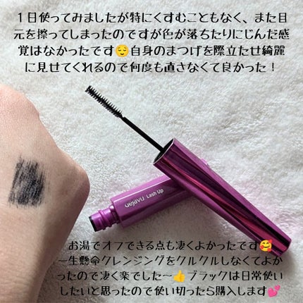 「塗るつけまつげ」自まつげ際立てタイプ/デジャヴュ/マスカラを使ったクチコミ(5枚目)