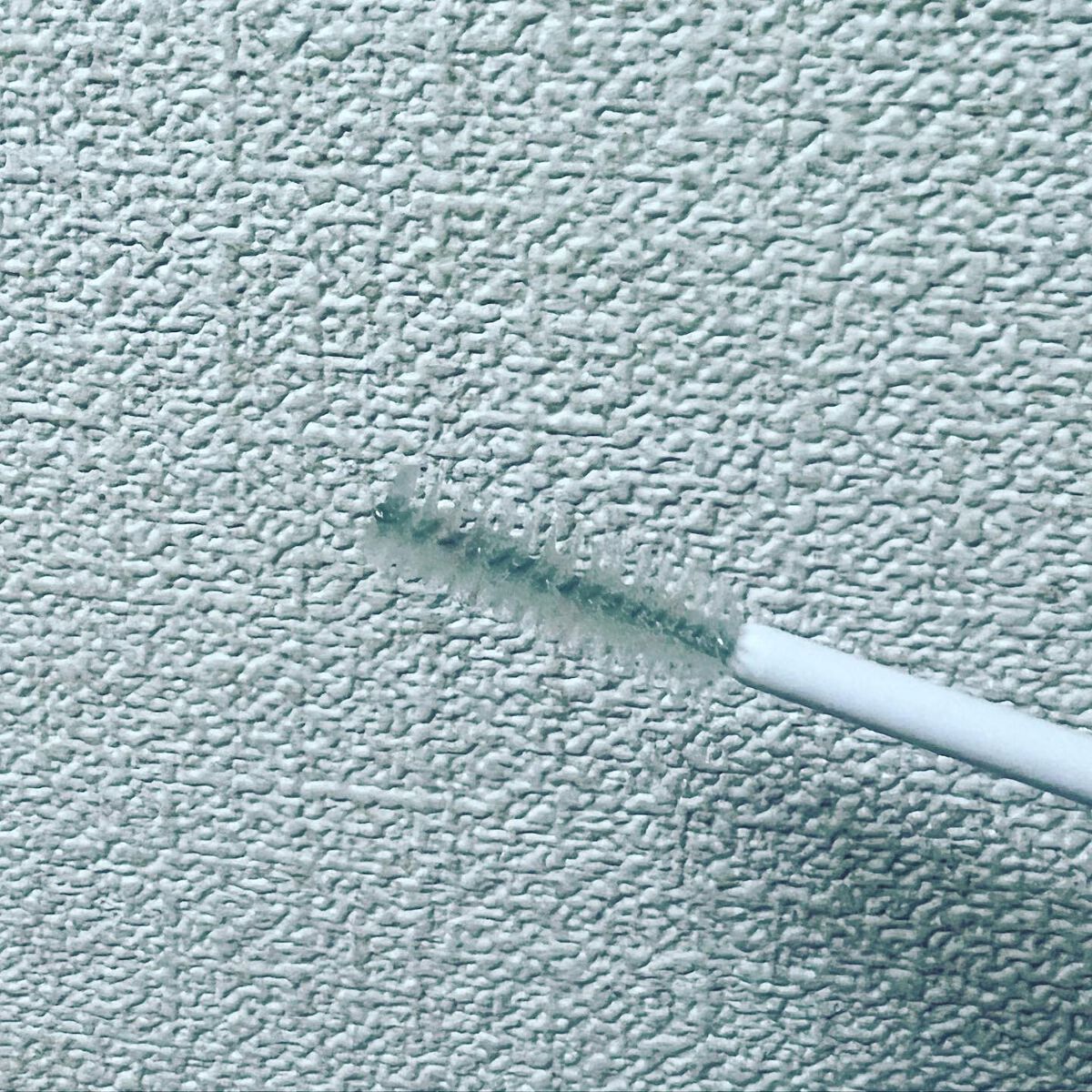 アイラッシュセラム/PHOEBE BEAUTY UP/まつげ美容液を使ったクチコミ（2枚目）