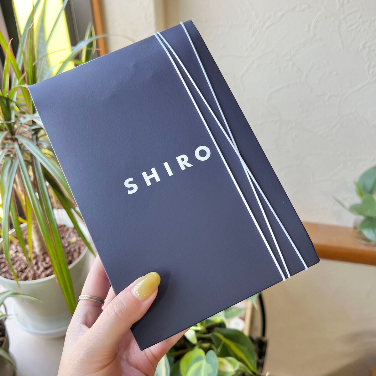 ホワイトリリー ボディミスト/SHIRO/香水(レディース)を使ったクチコミ(4枚目)