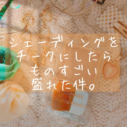 シェーディングパウダー/キャンメイク/シェーディングを使ったクチコミ(1枚目)