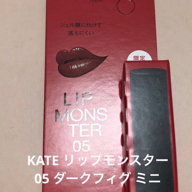 リップモンスター 05 ダークフィグ(ミニ)＜数量限定発売＞/KATE/口紅を使ったクチコミ（1枚目）