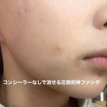 プロテーラービーベルベットカバークッション/espoir/クッションファンデーションを使ったクチコミ(4枚目)