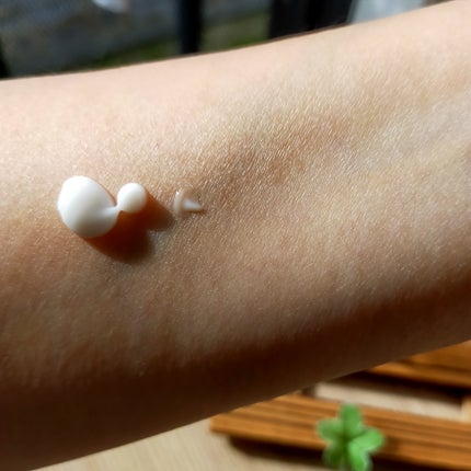 マジックカタツムリクリーム/ブラン/フェイスクリームを使ったクチコミ(2枚目)