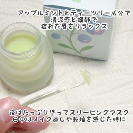 ミントクーリングリップマスク/TOCOBO/リップマスクを使ったクチコミ(2枚目)