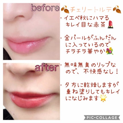 ピュアルージュリッチ/オルビス/口紅を使ったクチコミ(2枚目)