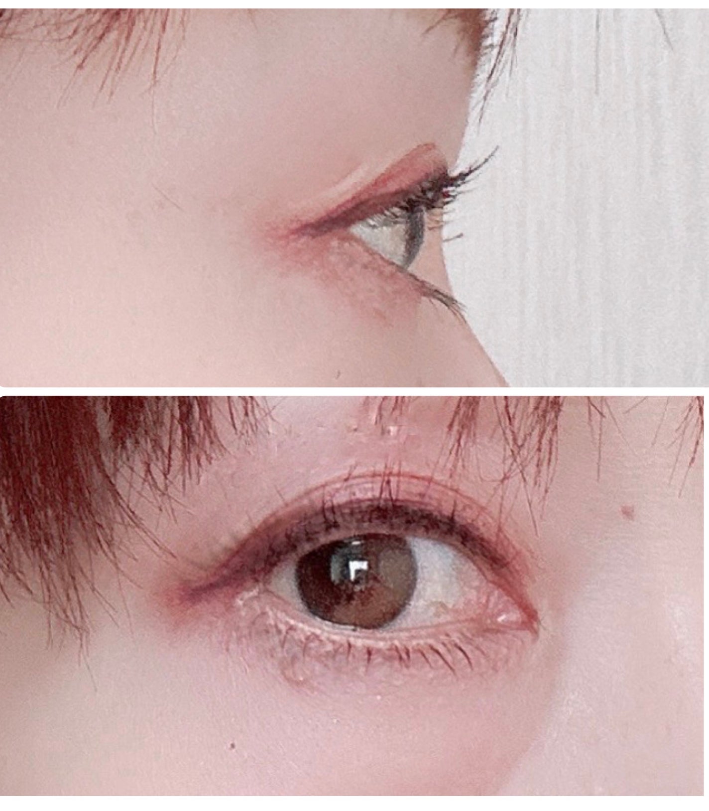 ãã€ããŒãªãããã¹ã«ã©/D-UP/ãã¹ã«ã©ã䜿ã£ãã¯ãã³ãïŒ4æç®ïŒ