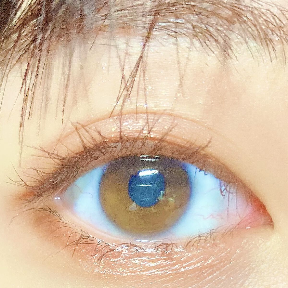 ニュアンスオンアイシャドウ/CEZANNE/アイシャドウパレットを使ったクチコミ（1枚目）