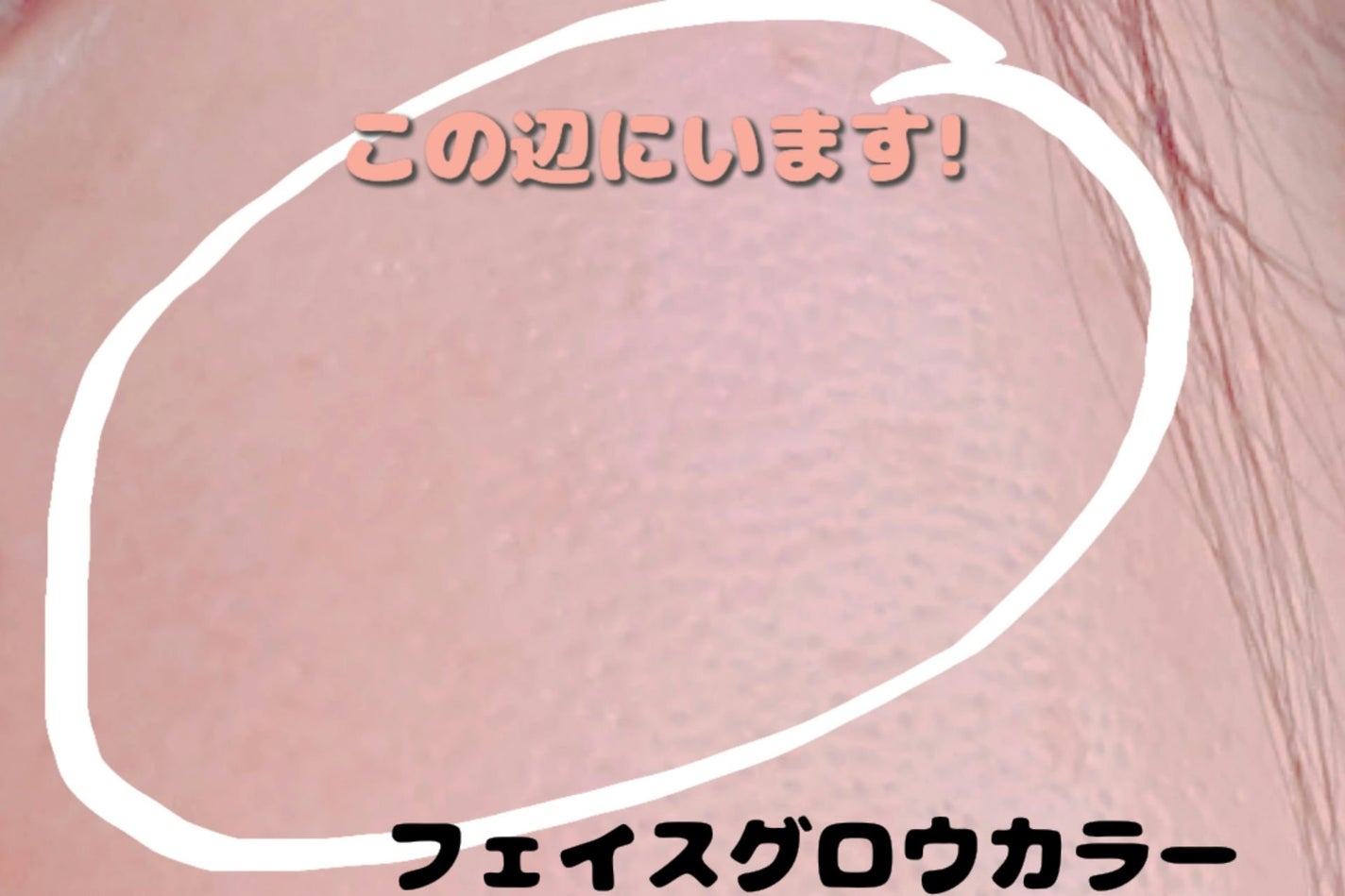 ベージュトーンアイシャドウ/CEZANNE/アイシャドウパレットを使ったクチコミ(5枚目)