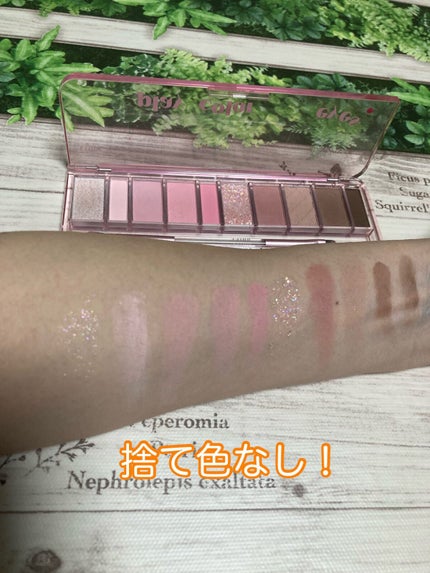 プレイカラー アイシャドウ/ETUDE/アイシャドウパレットを使ったクチコミ(3枚目)