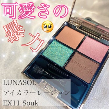 アイカラーレーション EX11 Souk（限定発売）/LUNASOL/アイシャドウパレットを使ったクチコミ（1枚目）