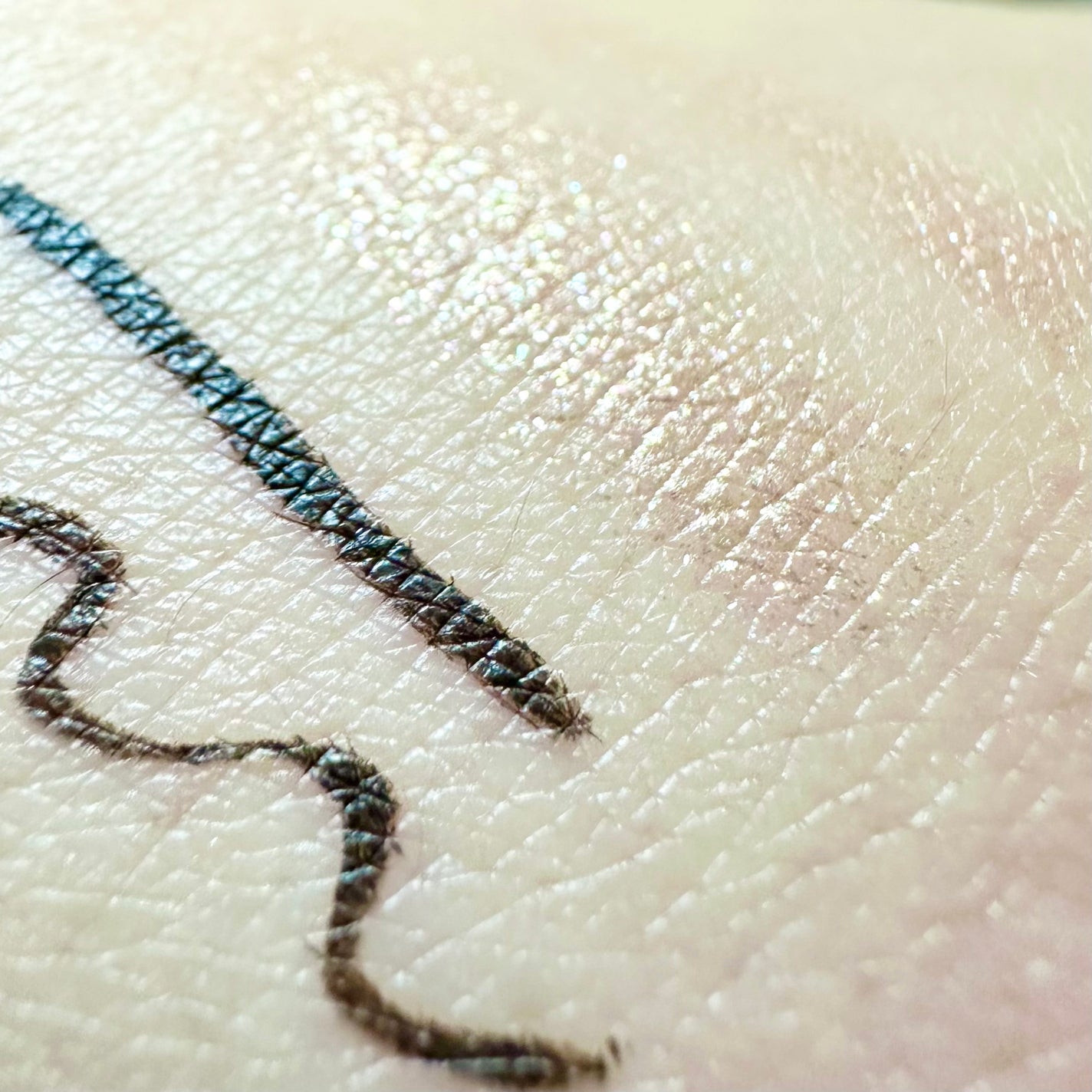 エーメイク グリッタースティック/A/mAke/グリッターを使ったクチコミ(6枚目)