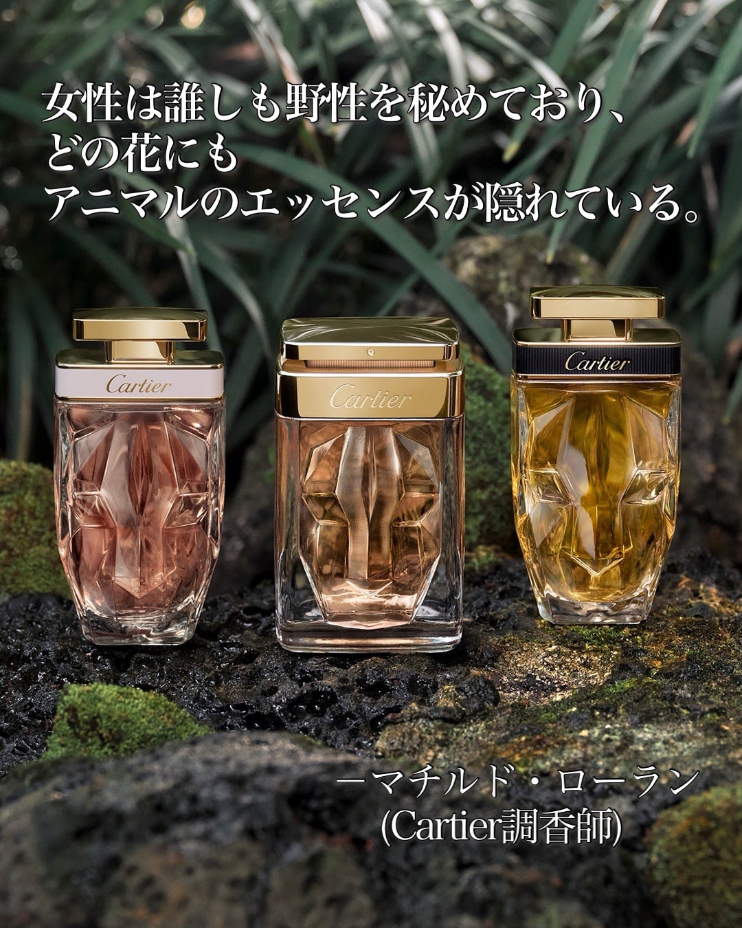 La Panthere/カルティエ/香水(レディース)を使ったクチコミ(5枚目)