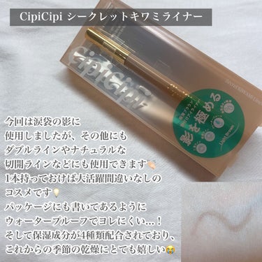 グリッターイルミネーションライナー/CipiCipi/リキッドアイライナーを使ったクチコミ（2枚目）