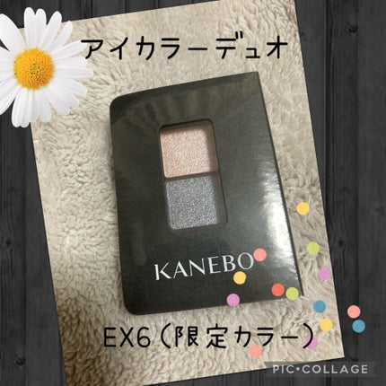 カネボウ アイカラーデュオ/KANEBO/アイシャドウパレットを使ったクチコミ(1枚目)