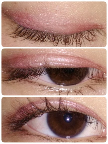 【旧品】パーフェクトスタイリストアイズ/キャンメイク/アイシャドウパレットを使ったクチコミ(4枚目)