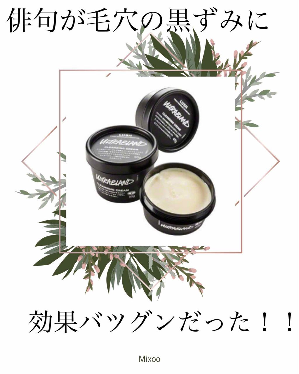 俳句/ラッシュ/クレンジングクリームを使ったクチコミ（1枚目）