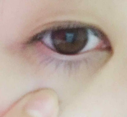 ラッシュジェリードロップ/MAJOLICA MAJORCA/まつげ美容液を使ったクチコミ(3枚目)