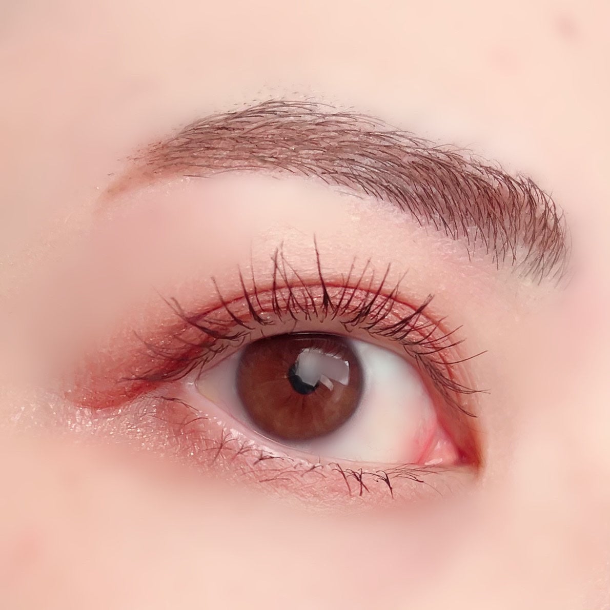 ハイパーリフトマスカラ/D-UP/マスカラを使ったクチコミ(5枚目)