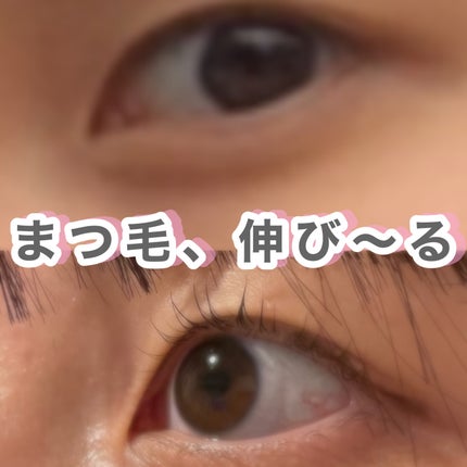 ラッシュジェリードロップ EX/MAJOLICA MAJORCA/まつげ美容液を使ったクチコミ(1枚目)