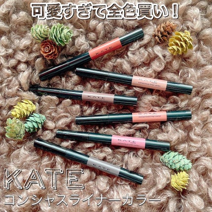 コンシャスライナーカラー/KATE/リキッドアイライナーを使ったクチコミ(1枚目)