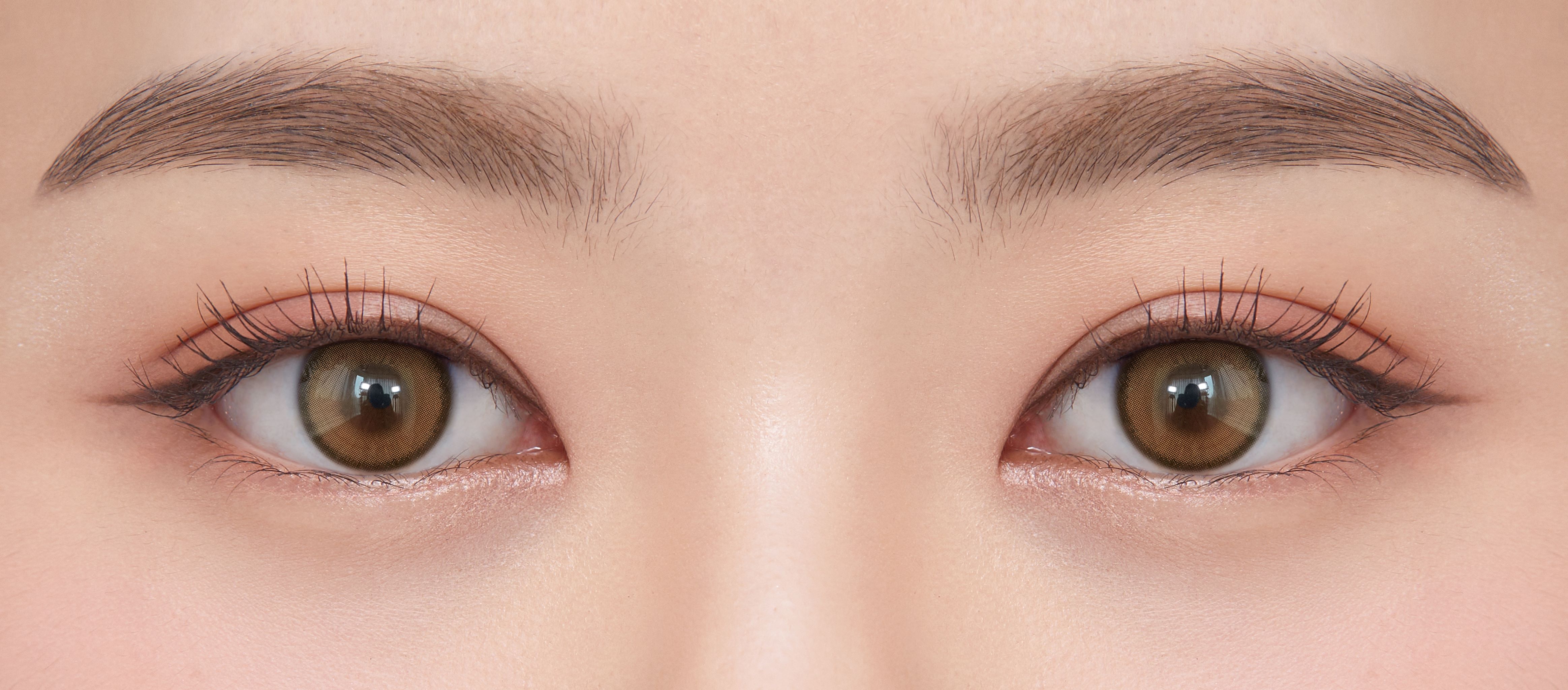 Real Ring 1day ブラウン