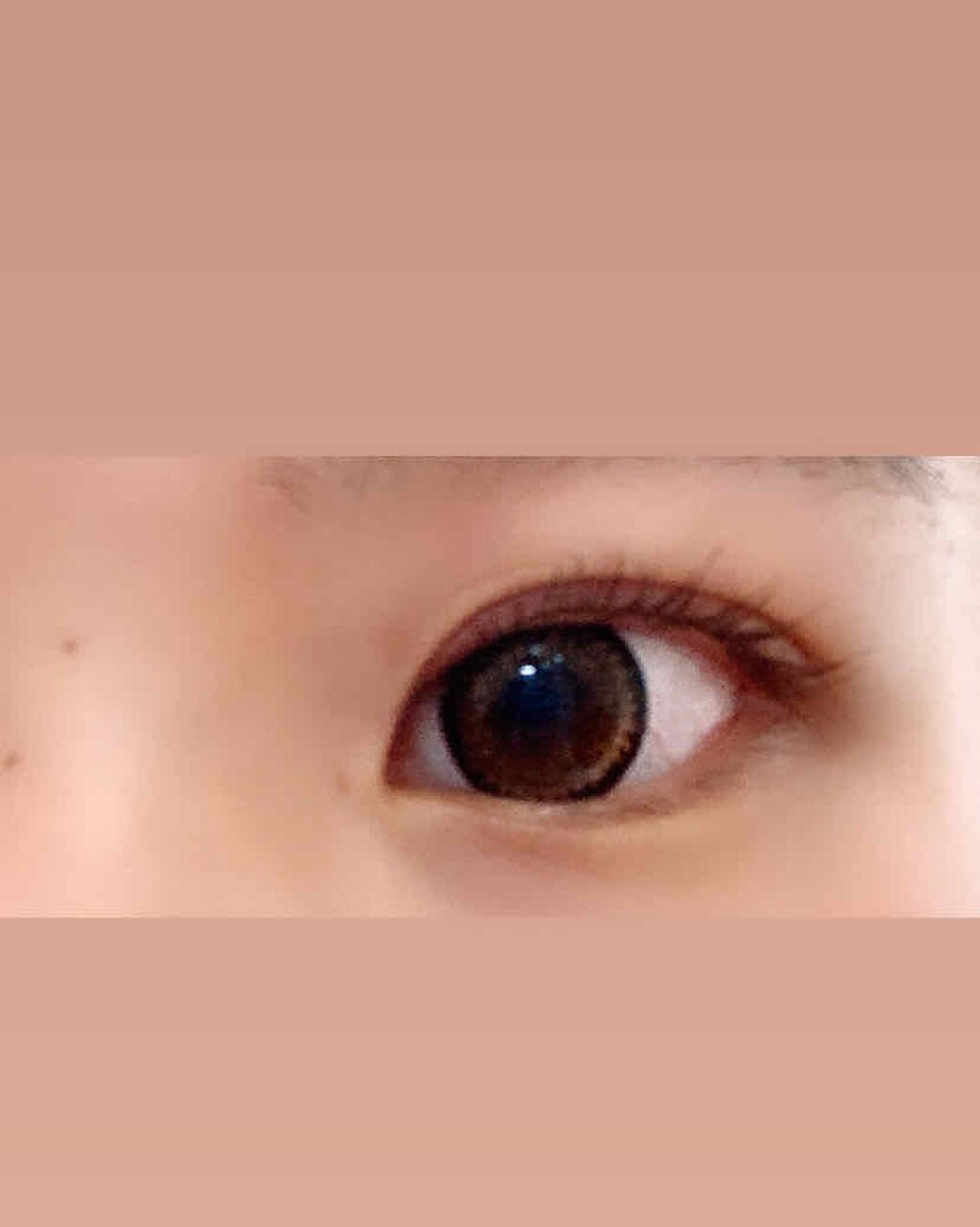 ラッシュマキシマイザーN/KATE/マスカラ下地を使ったクチコミ（2枚目）