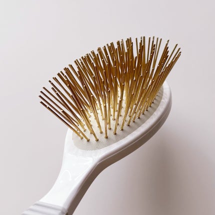 プレミアム FOXカッサ ヘアブラシ/SNOW FOX SKINCARE/ヘアブラシを使ったクチコミ(10枚目)