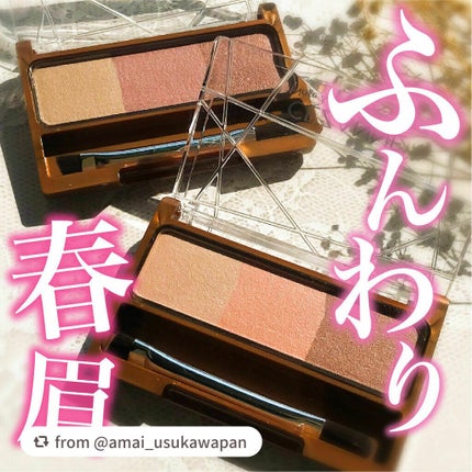 ノーズ&アイブロウパウダー/CEZANNE/パウダーアイブロウを使ったクチコミ(1枚目)