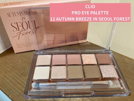 プロ アイ パレット/CLIO/アイシャドウパレットを使ったクチコミ(1枚目)