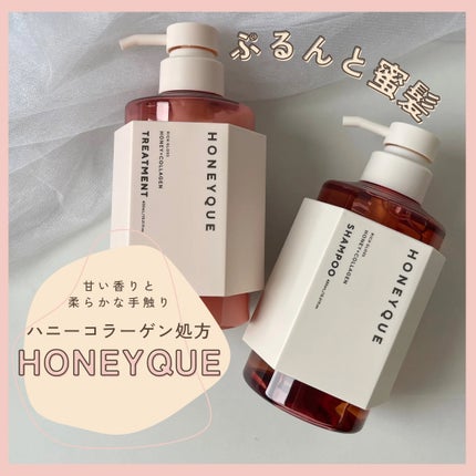 リッチグロス シャンプー シャイニー/ヘアトリートメント シャイニー/ハニーク/市販シャンプーを使ったクチコミ(1枚目)