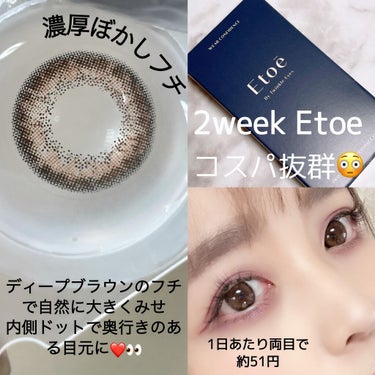 2week Etoē NaturalRich/Etoe By Twinkle Eyes/２週間（２WEEKS）カラコンを使ったクチコミ（3枚目）