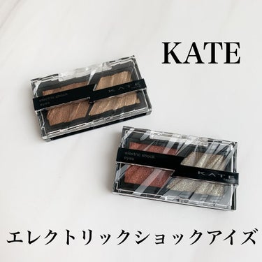 エレクトリックショックアイズ /KATE/アイシャドウパレットを使ったクチコミ（1枚目）