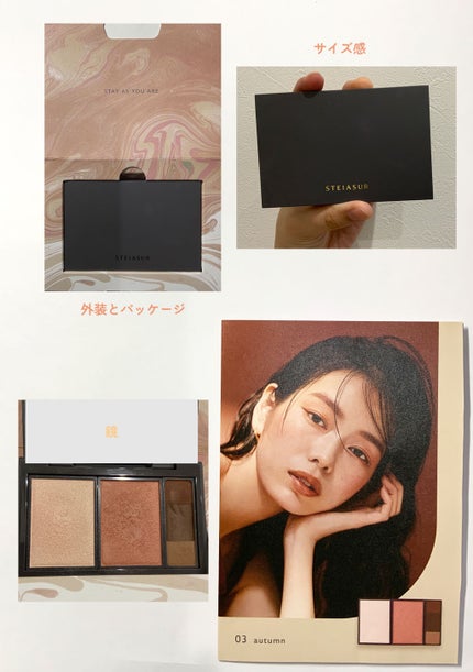 フィット my カラーパレット/STEIASUR(ステイアシュール)/マルチパレットを使ったクチコミ(2枚目)