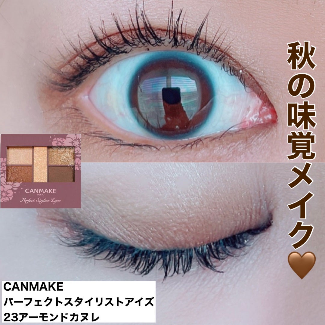 パーフェクトスタイリストアイズ/キャンメイク/アイシャドウパレットを使ったクチコミ(1枚目)