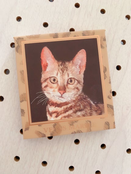 Venus Marble アイシャドウキャットシリーズ/Venus Marble/アイシャドウパレットを使ったクチコミ(2枚目)