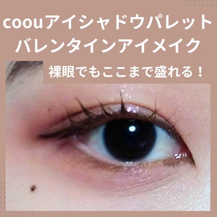 エルファー プロフェッショナル ファンデーション オークル/DAISO/パウダーファンデーションを使ったクチコミ(1枚目)