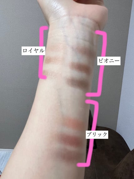 スキニーリッチシャドウ/excel/アイシャドウパレットを使ったクチコミ(3枚目)